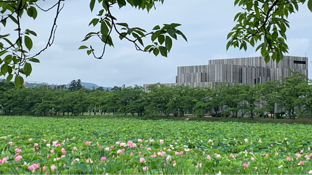 新潟県 上越市 フラワーアレンジメント教室 アーティフィシャルフラワー 造花 ペンタスモア レッスン 教室 髙田城址公園 オーレンプラザ