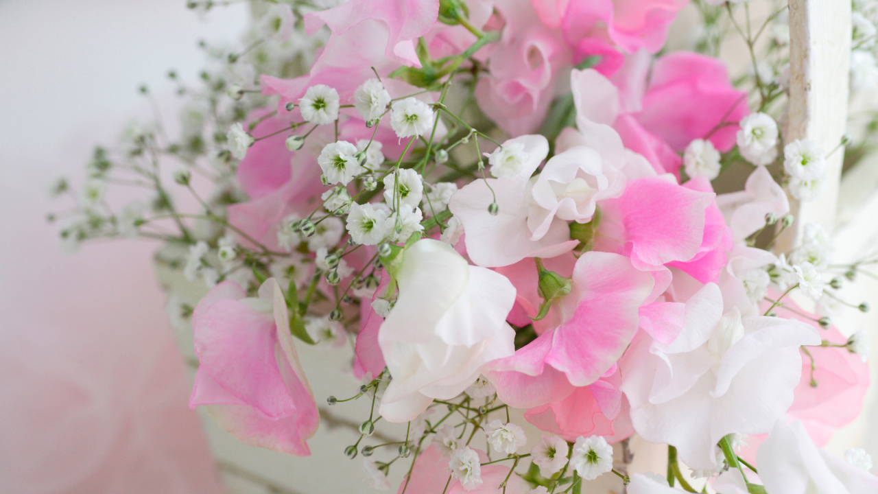 伝えたいメッセージを花言葉に込めて｜ギフトにおすすめの春の花5選 
